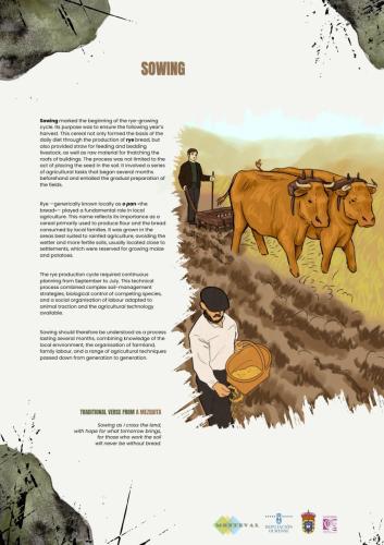 ENG.-SALA-1 SOWING-