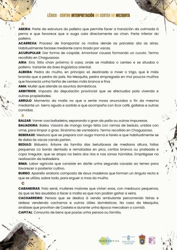 LexicoGalego 1-1