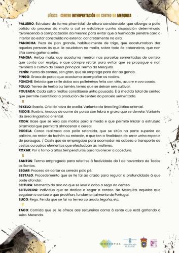 LexicoGalego 1-5