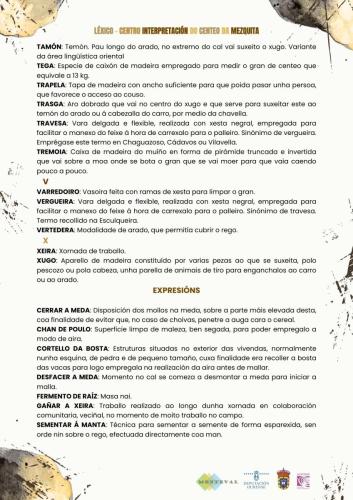 LexicoGalego 1-6
